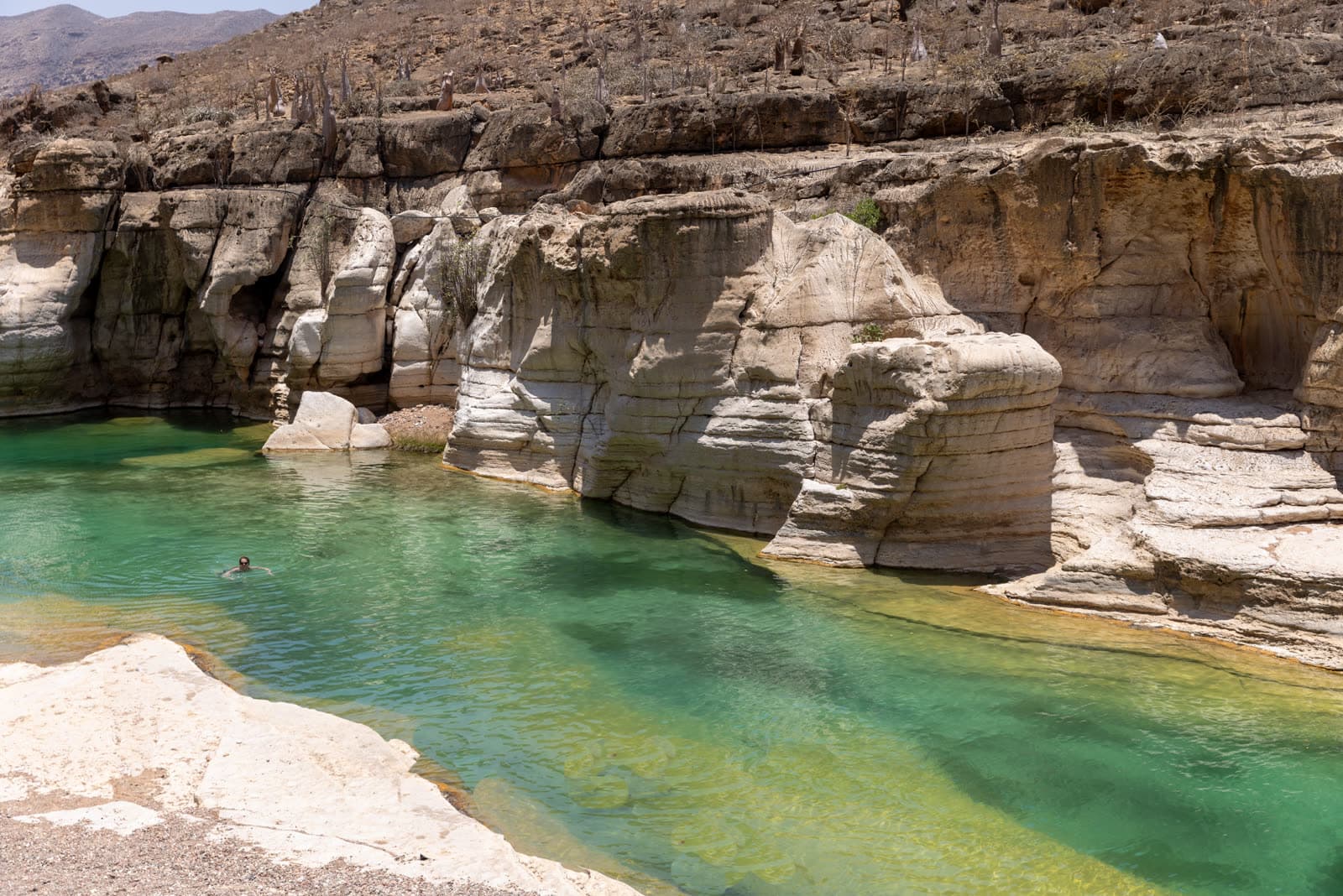 منظر طبيعي من سقطرى 4